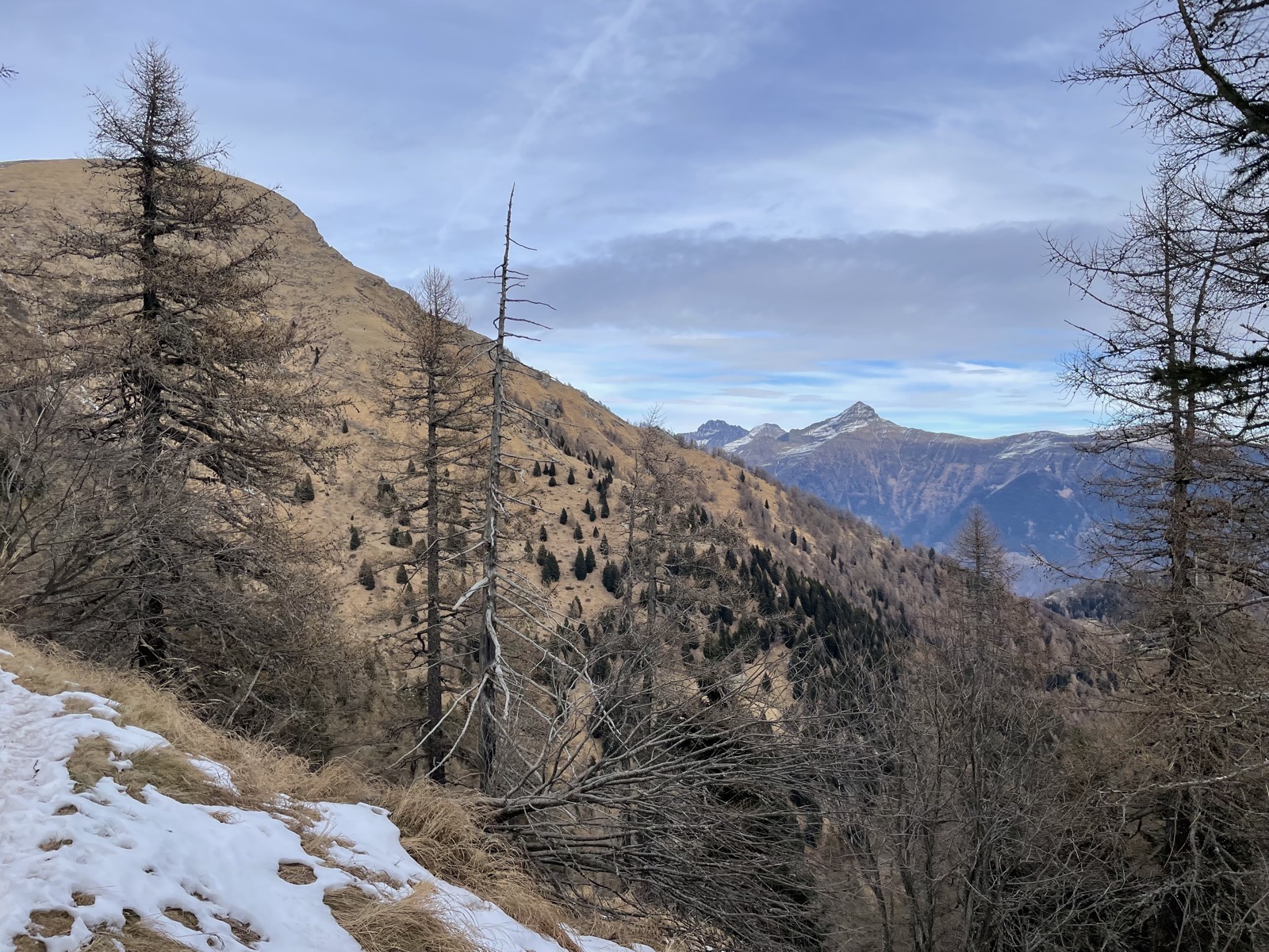 Momera – Gaggio